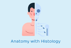 Anatomy-With-Histology Anatomy-With-Histology