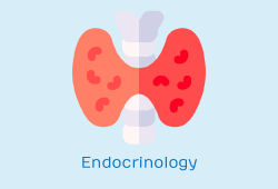 Endocrinology Endocrinology
