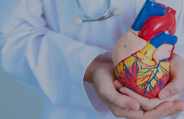 Cardiology