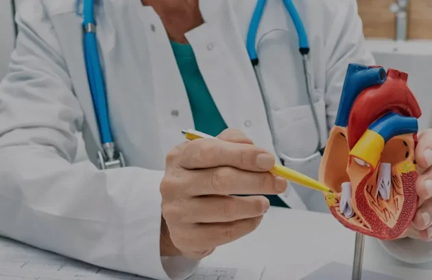 Medicine Liver & Digestive System