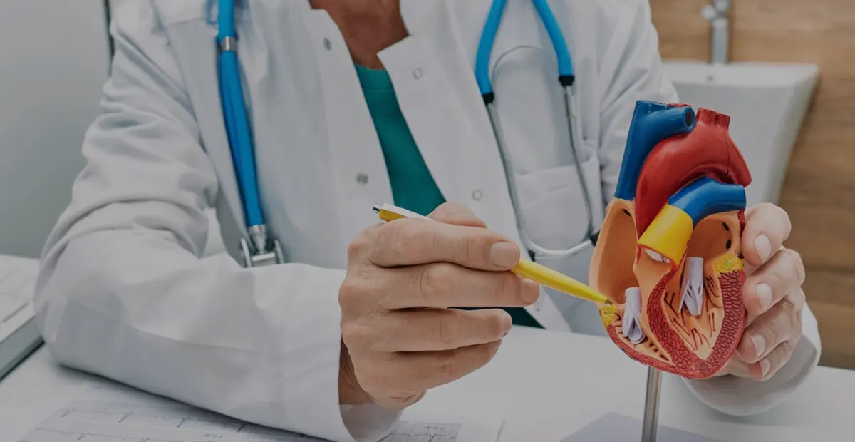 Medicine Liver & Digestive System