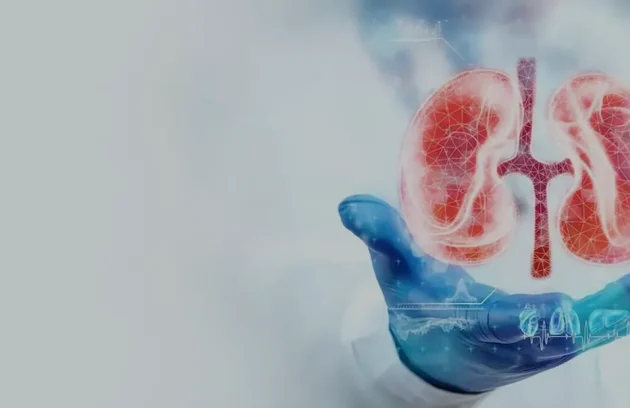 Nephrology