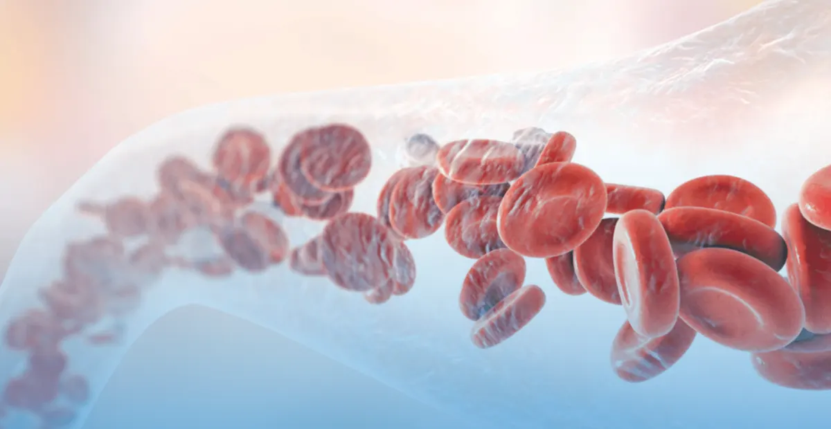 Blood circulation department
